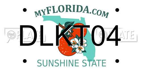 DLKT04 Florida License Plate