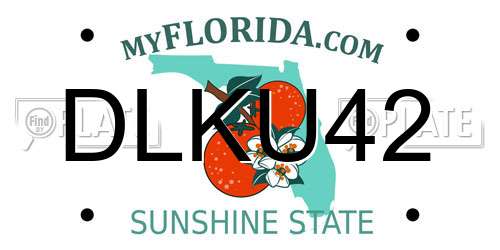 DLKU42 Florida License Plate