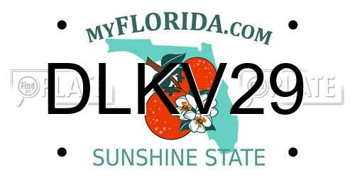 DLKV29 Florida License Plate