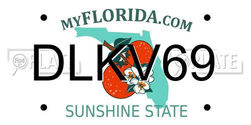 DLKV69 Florida License Plate