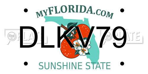 DLKV79 Florida License Plate