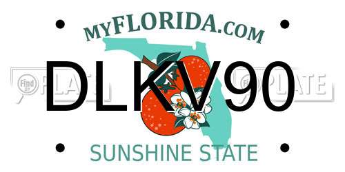 DLKV90 Florida License Plate