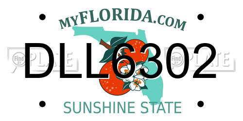 DLL6302 Florida License Plate