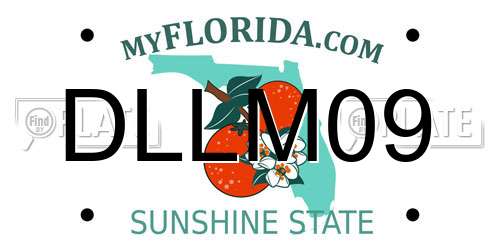 DLLM09 Florida License Plate