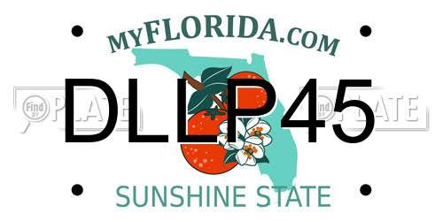 DLLP45 Florida License Plate