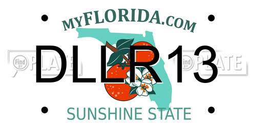 DLLR13 Florida License Plate