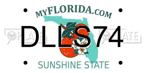 DLLS74 Florida License Plate
