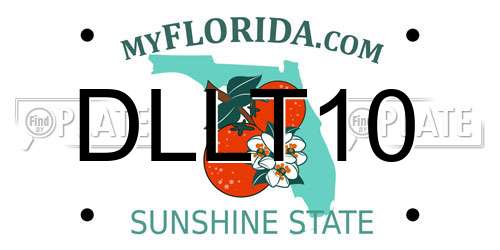DLLT10 Florida License Plate