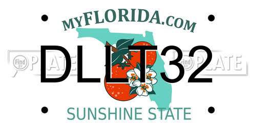 DLLT32 Florida License Plate
