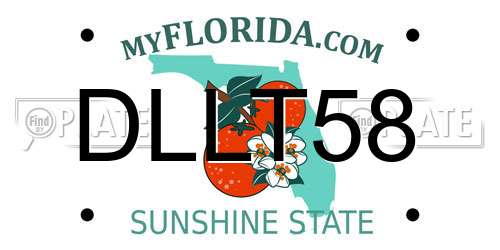 DLLT58 Florida License Plate