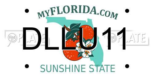 DLLU11 Florida License Plate