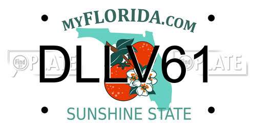 DLLV61 Florida License Plate