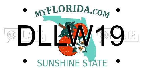 DLLW19 Florida License Plate
