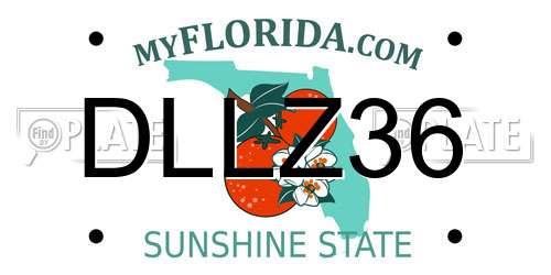 DLLZ36 Florida License Plate