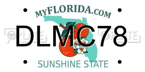 DLMC78 Florida License Plate