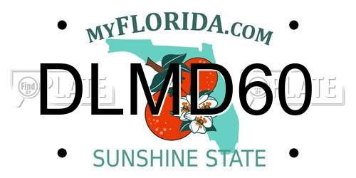 DLMD60 Florida License Plate