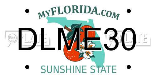 DLME30 Florida License Plate
