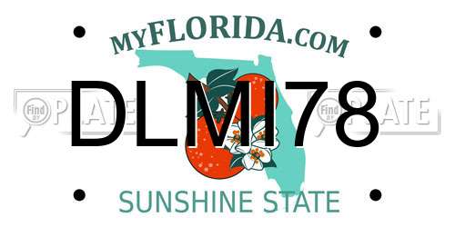 DLMI78 Florida License Plate