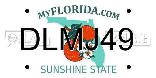 DLMJ49 Florida License Plate
