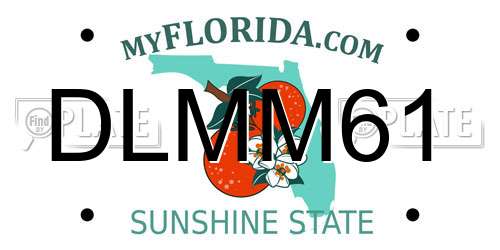 DLMM61 Florida License Plate