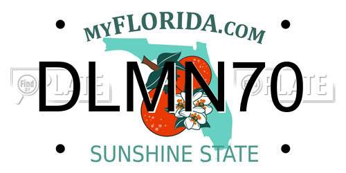 DLMN70 Florida License Plate