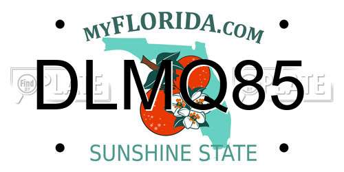 DLMQ85 Florida License Plate