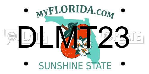 DLMT23 Florida License Plate
