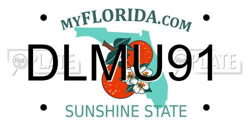 DLMU91 Florida License Plate