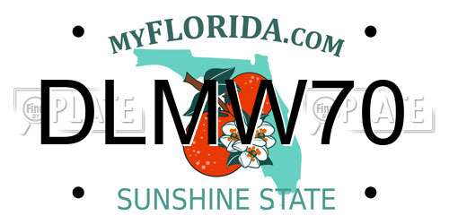 DLMW70 Florida License Plate