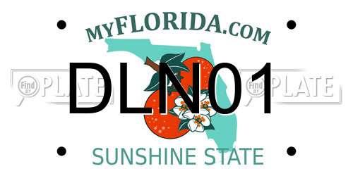 DLN01 Florida License Plate