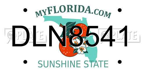 DLN8541 Florida License Plate