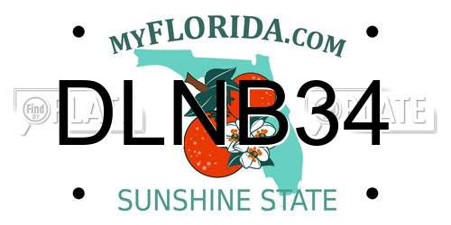 DLNB34 Florida License Plate