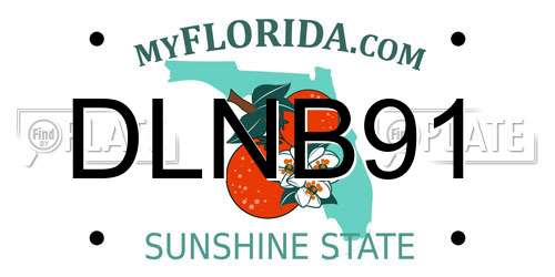 DLNB91 Florida License Plate