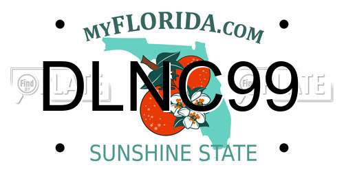 DLNC99 Florida License Plate