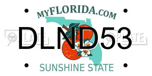 DLND53 Florida License Plate