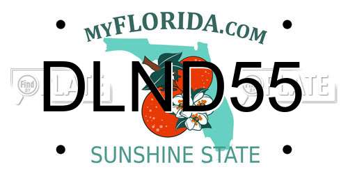 DLND55 Florida License Plate
