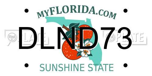 DLND73 Florida License Plate
