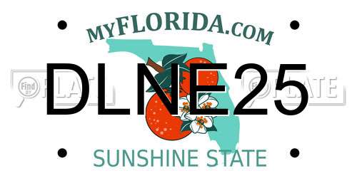 DLNE25 Florida License Plate