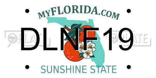 DLNF19 Florida License Plate