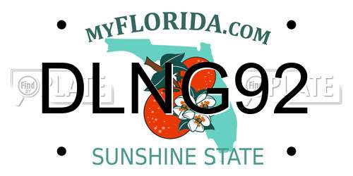 DLNG92 Florida License Plate