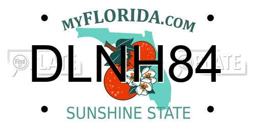 DLNH84 Florida License Plate