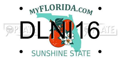 DLNI16 Florida License Plate