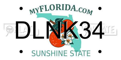 DLNK34 Florida License Plate