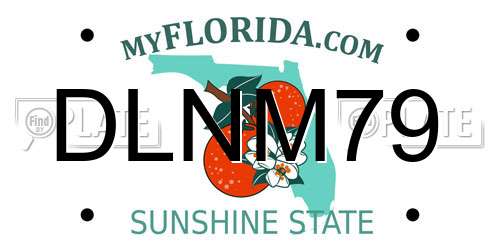 DLNM79 Florida License Plate
