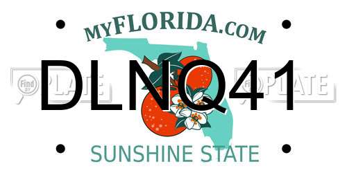 DLNQ41 Florida License Plate