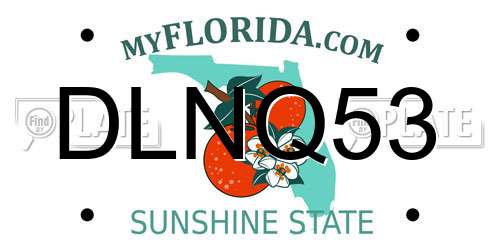 DLNQ53 Florida License Plate