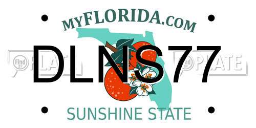 DLNS77 Florida License Plate