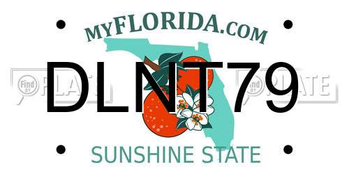 DLNT79 Florida License Plate