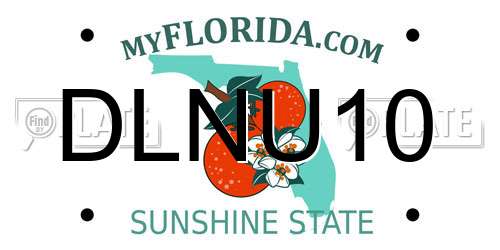 DLNU10 Florida License Plate