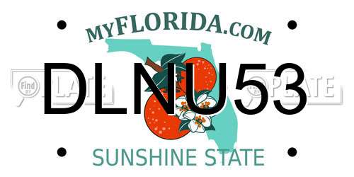 DLNU53 Florida License Plate